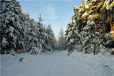 《我们之中》将出席TGA 带来游戏最新资讯